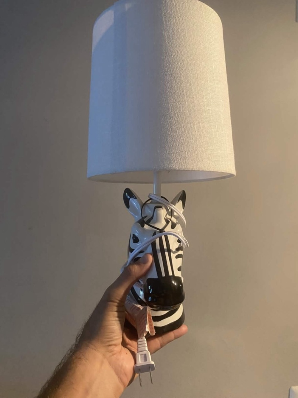 Zebra Striped Ceramic Airplant Planter